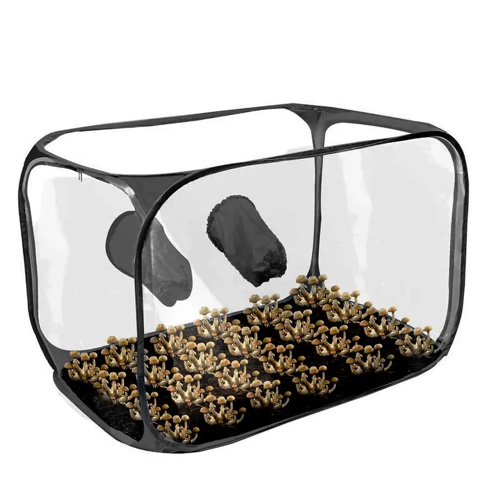 Mushroom Planting Bags Still Air Box For Mushroom Propagation Stations Tent Portable Foldable Transparent Visible Planting Box