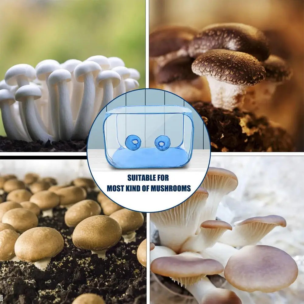 Mushroom Planting Bags Still Air Box For Mushroom Propagation Stations Tent Portable Foldable Transparent Visible Planting Box