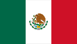 Mexican Flag Car Magnet Decal, from 2x4 to 5x8 Inches, Heavy Duty Automotive Magnet for Car, Truck SUV